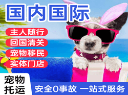 威海大水泊机场托运国际宠物托运 【国